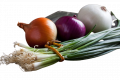 Лук