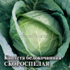 Капуста Скороспелая б/к GSH 25г (Р)®@