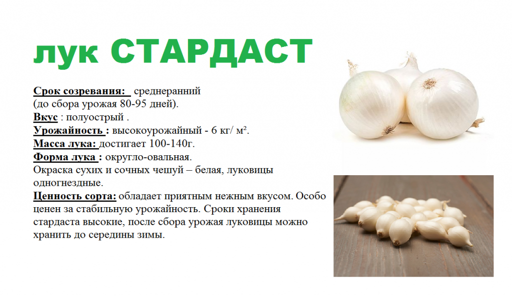 СТРАДАСТ - 2 шт.png